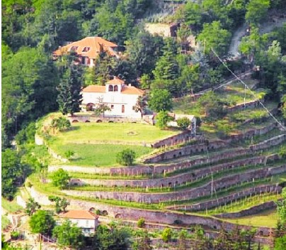 monteoliveto.jpg